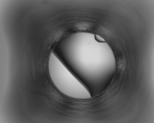 X0000088400559200705220823