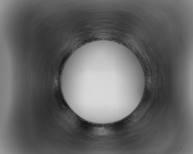 X0000088400561200705220824