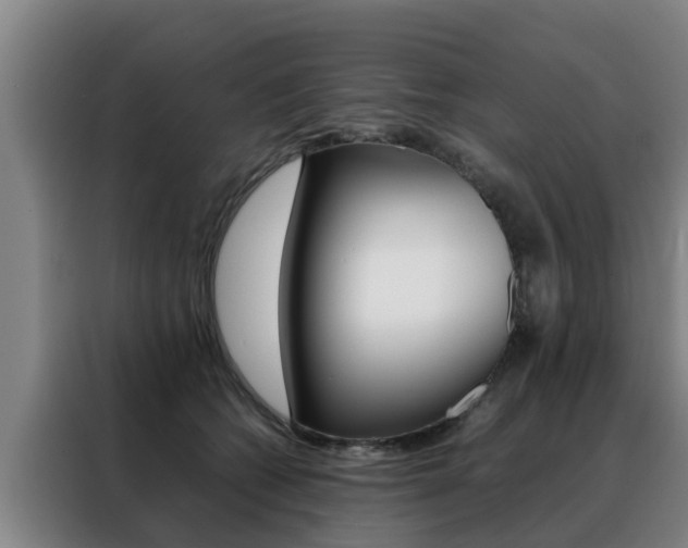 X0000088400562200705220824