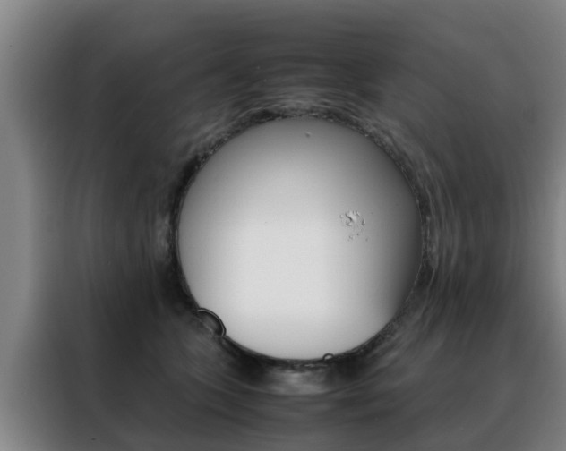 X0000088400563200705220824