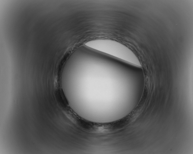 X0000088400564200705220824