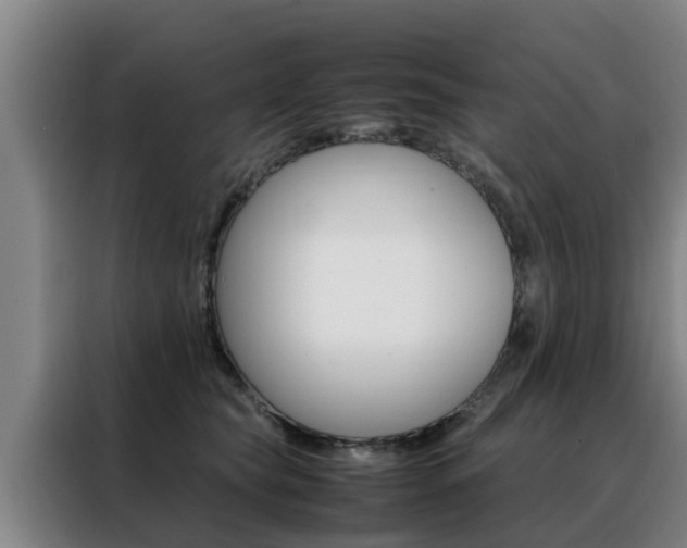 X0000088400565200705220824