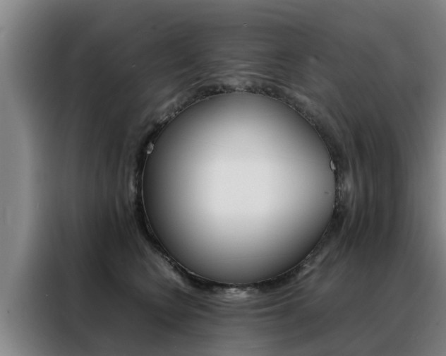 X0000088400566200705220824