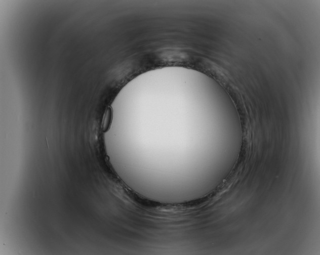 X0000088400567200705220824