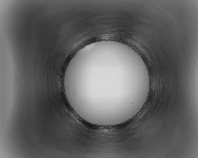 X0000088400569200705220824