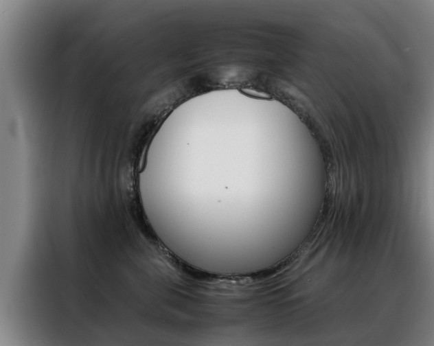 X0000088400571200705220824