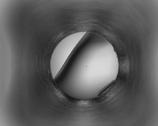 X0000088400574200705220824