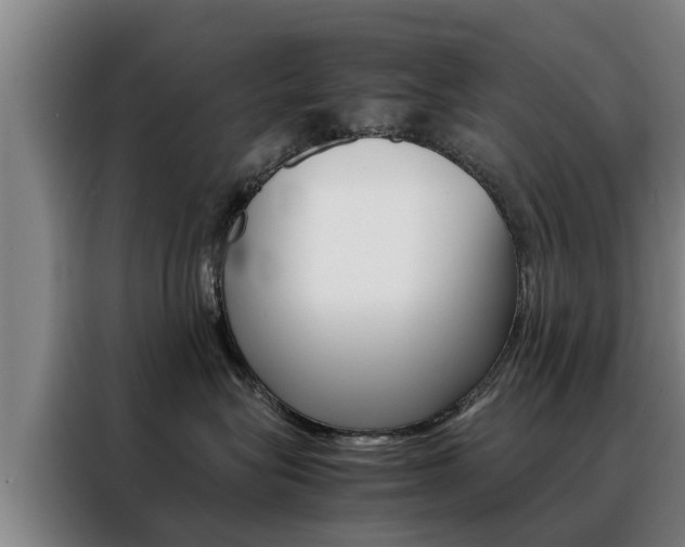 X0000088400575200705220824