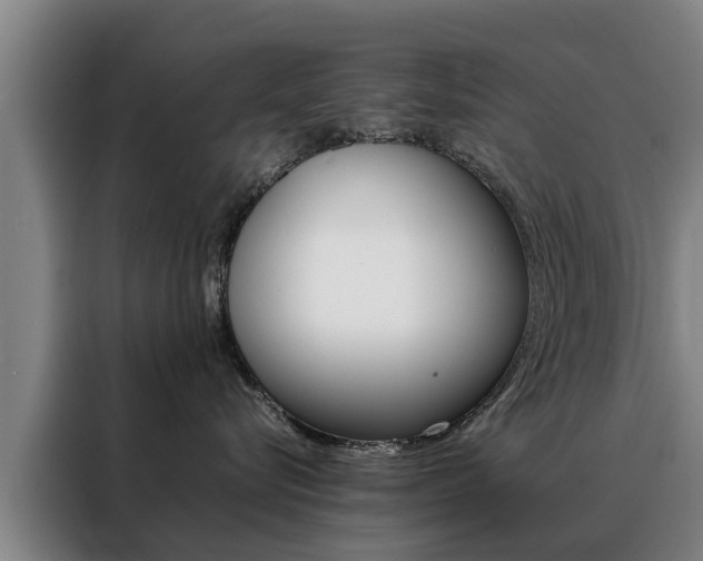 X0000088400576200705220824