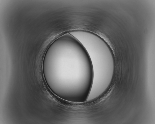 X0000088400577200705220823
