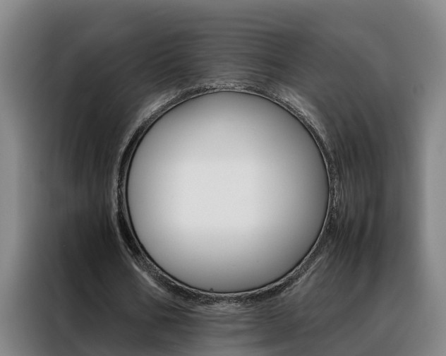 X0000088400578200705220823