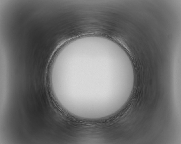 X0000088400579200705220823
