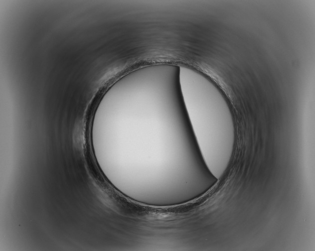 X0000088400582200705220823