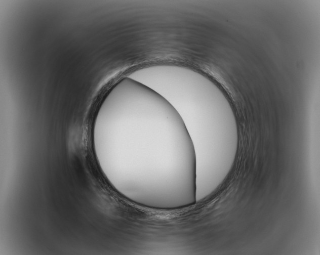 X0000088400583200705220823