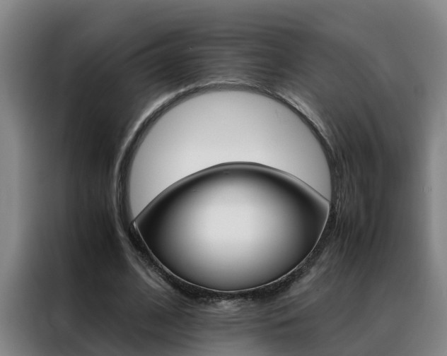 X0000088400584200705220823