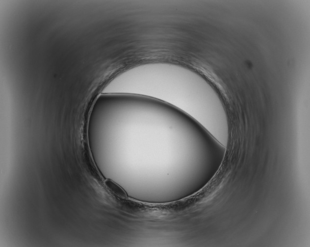 X0000088400585200705220823