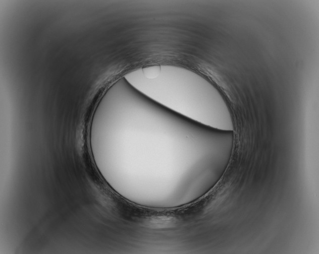 X0000088400586200705220823