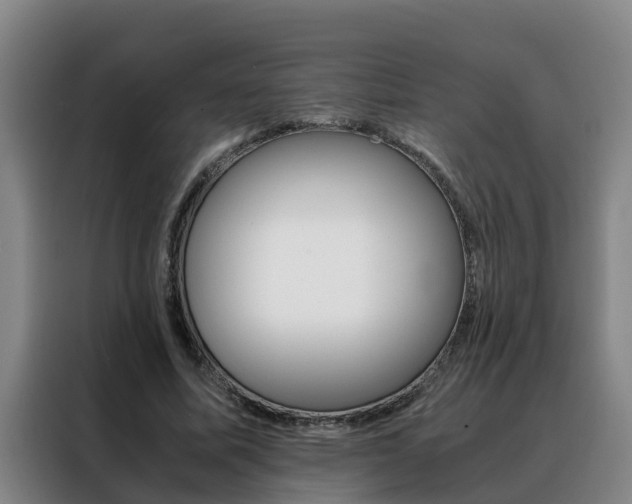 X0000088400587200705220823