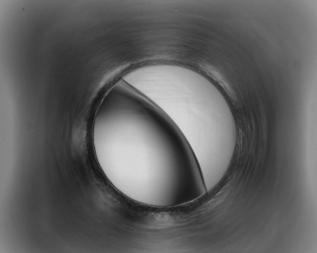 X0000088400588200705220823