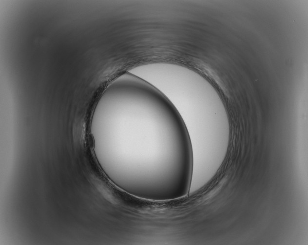 X0000088400589200705220823