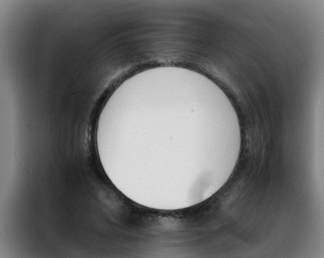 X0000088400592200705220823