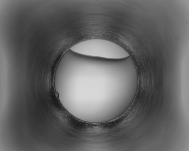 X0000088400594200705220823