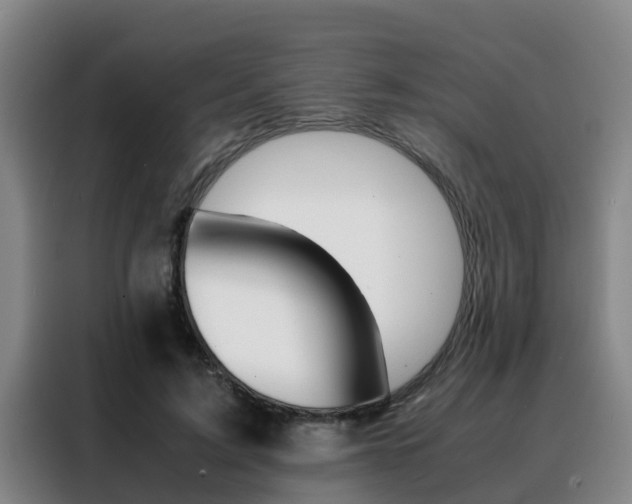 X0000088400595200705220823
