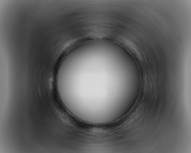 X0000088400596200705220823