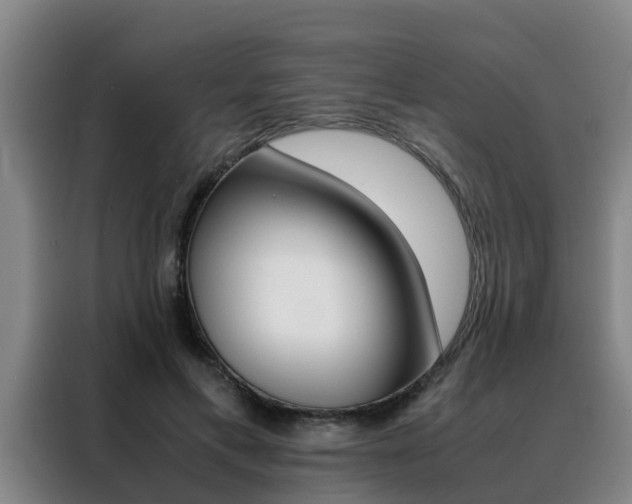 X0000088400597200705220823