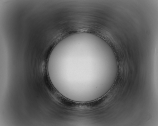 X0000088400598200705220823
