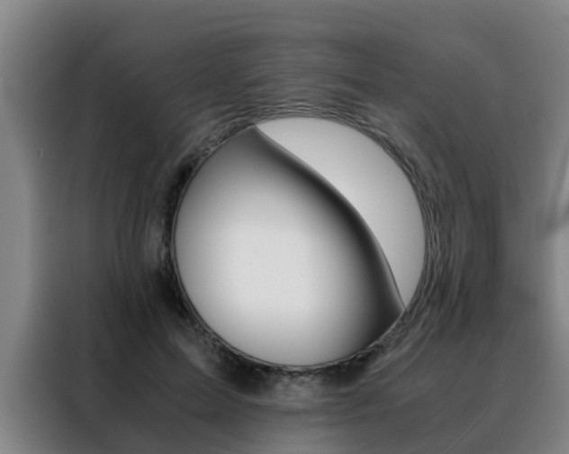 X0000088400599200705220823