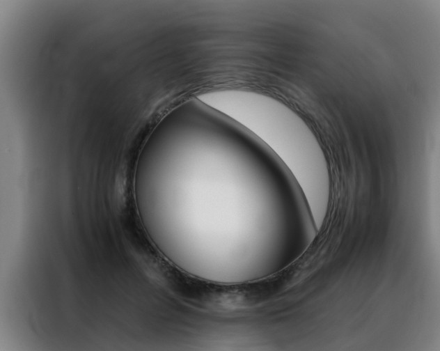 X0000088400600200705220823
