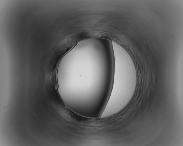 X0000088400601200705220823