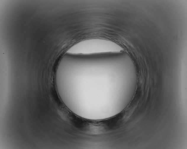 X0000088400603200705220823