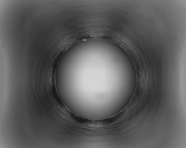X0000088400604200705220823