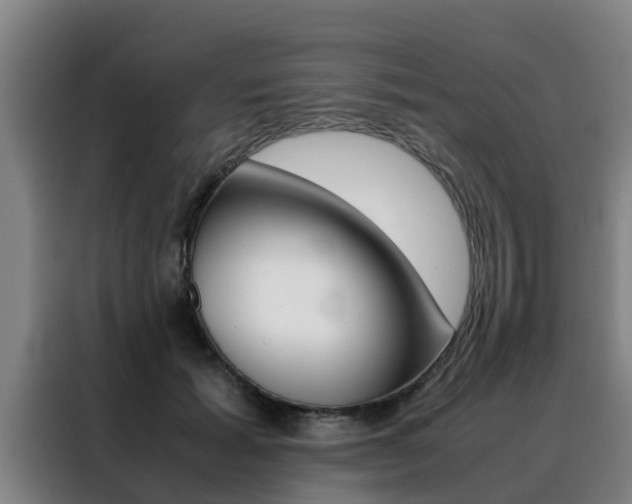 X0000088400605200705220823
