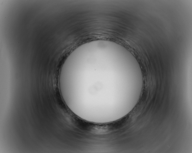 X0000088400606200705220823