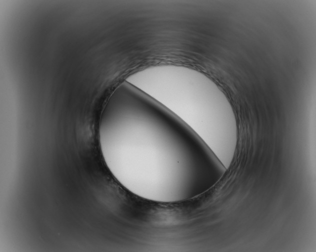 X0000088400608200705220823