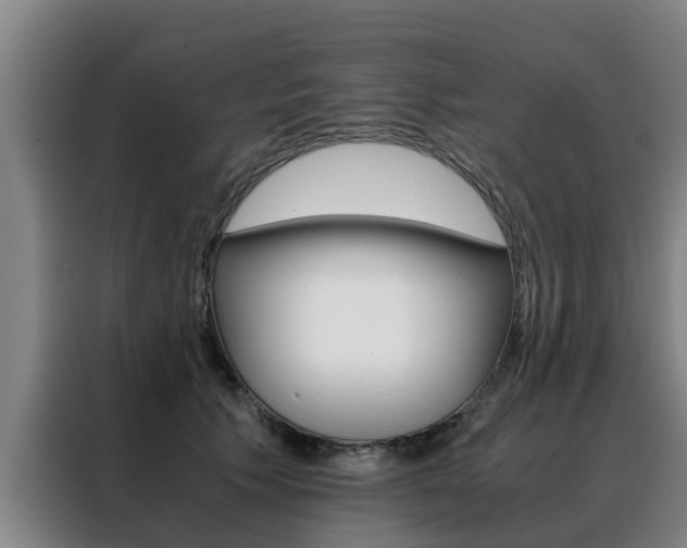 X0000088400609200705220823