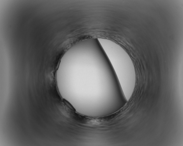 X0000088400611200705220823