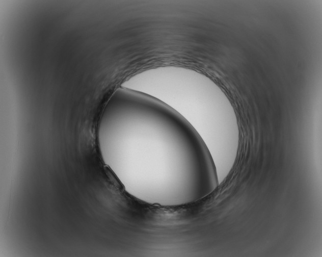 X0000088400613200705220823
