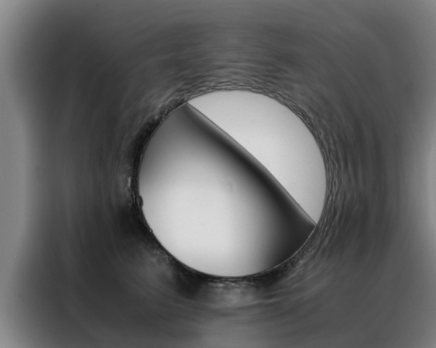 X0000088400615200705220823