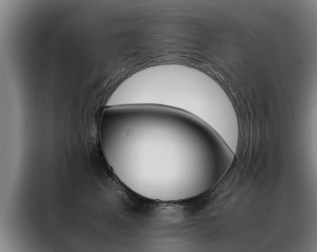 X0000088400617200705220823