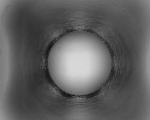 X0000088400619200705220823