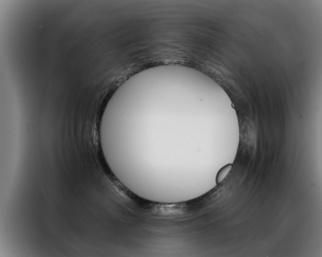 X0000088400622200705220823