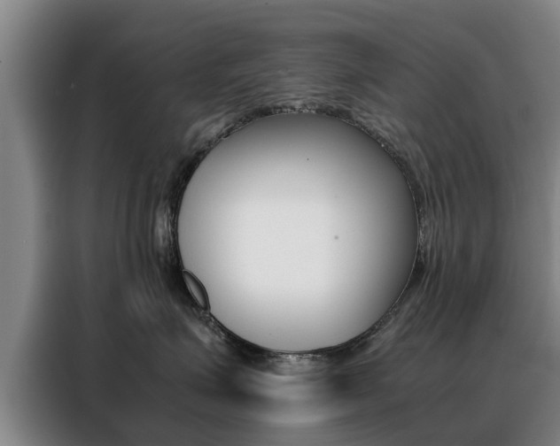 X0000088400623200705220822