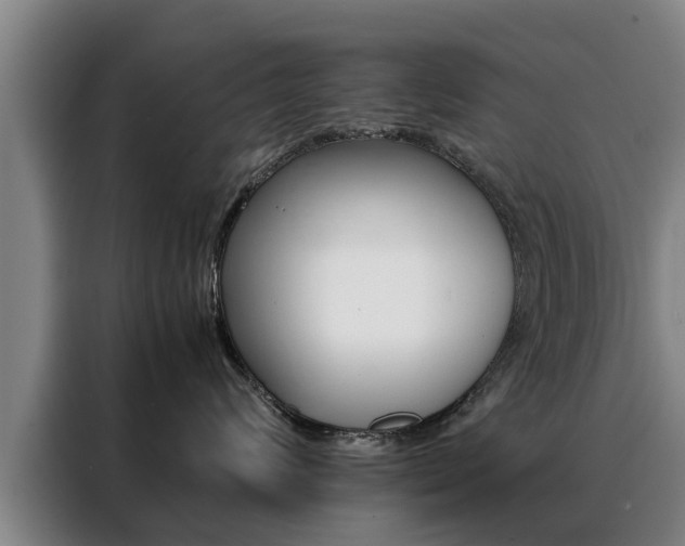 X0000088400624200705220822