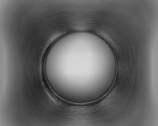 X0000088400626200705220822