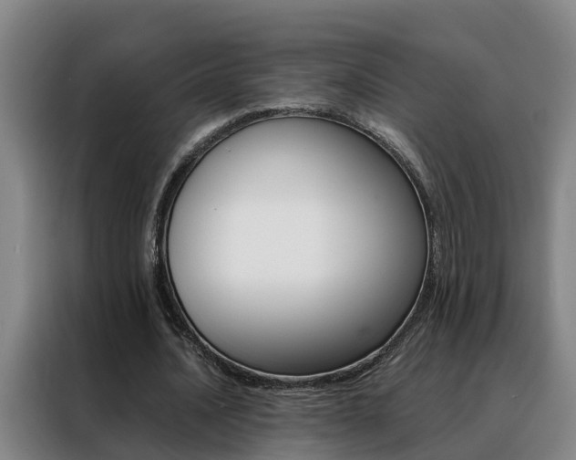 X0000088400628200705220822