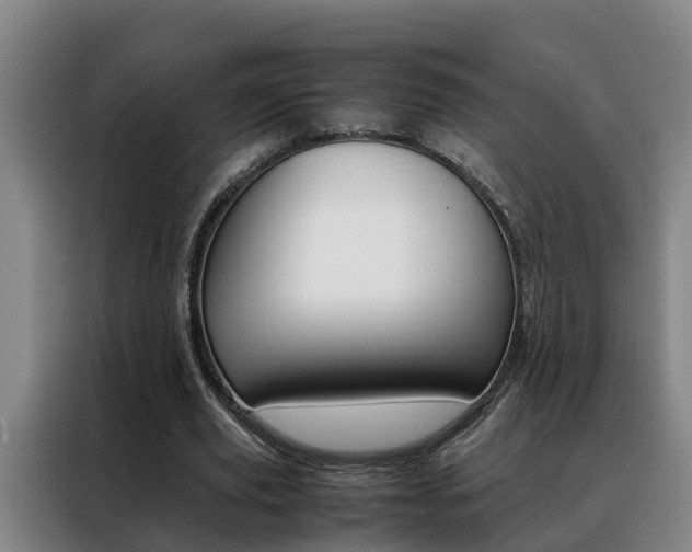 X0000088400629200705220822